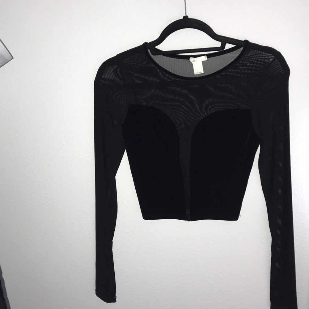 💙3/$20 Velvet Sheer long sleeve crop